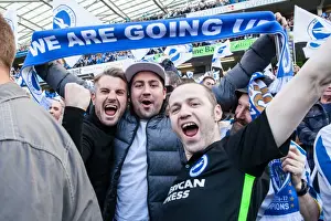 Bristol City 29APR17 Prints: Brighton and Hove Albion Fans Celebrate at American Express Community Stadium during EFL Sky Bet Championship Match vs
