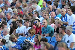 Brighton and Hove Albion Fans Celebrate at American Express Community Stadium During Pre-season Match Against Sevilla FC (2015)