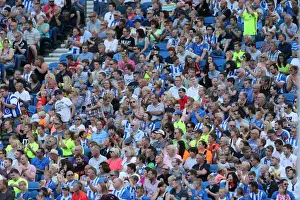 Brighton and Hove Albion Fans Celebrate at American Express Community Stadium During Pre-season Match Against Sevilla FC (02.08.2015)