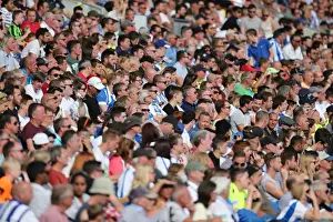 Prints of Albion fans during the pre-season friendly match between Brighton and Hove Albion and Sevilla FC at the American Express Community Stadium, Falmer, England on 2nd August 2015 Pre-Season Prints: Brighton and Hove Albion Fans Celebrate at American Express Community Stadium During Pre-season Match Against Sevilla