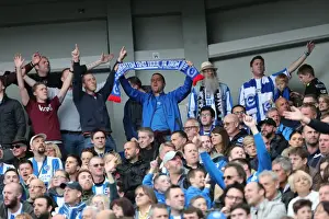 Brighton and Hove Albion Fans Celebrate Championship Victory over Wigan Athletic at American Express Community Stadium (17APR17)