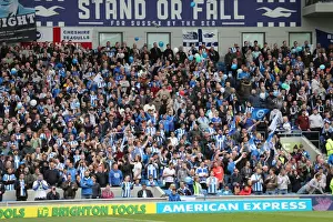 Brighton and Hove Albion Fans Celebrate Promotion to Premier League at American Express Community Stadium (17APR17)