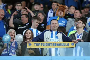 Brighton and Hove Albion Fans Celebrate Promotion to Premier League at Villa Park (07MAY17)