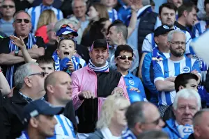 Brighton and Hove Albion Fans Celebrate Promotion to Premier League at Villa Park (07MAY17)