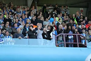 Brighton and Hove Albion Fans Celebrate Promotion to Premier League at Villa Park (07MAY17)