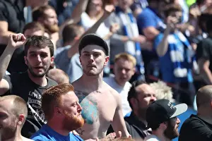 Brighton and Hove Albion Fans Celebrate Promotion to Premier League at Villa Park (07MAY17)