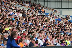 Prints of Albion fans during the pre-season friendly match between Brighton and Hove Albion and Sevilla FC at the American Express Community Stadium, Falmer, England on 2nd August 2015 Pre-Season Prints: Brighton and Hove Albion Fans Cheer at American Express Community Stadium during Pre-season Friendly against Sevilla FC