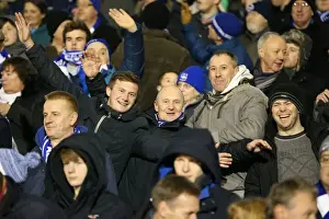 Brighton and Hove Albion Fans at Craven Cottage during Fulham Match, December 2014