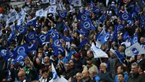 Brighton and Hove Albion Fans at the Emirates FA Cup Semi-Final vs Manchester City, Wembley Stadium (06.04.19)