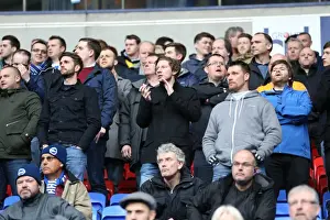 Bolton Wanderers 28FEB15 Prints: Brighton and Hove Albion Fans Epic Display of Passion and Support at Bolton Wanderers Championship Match