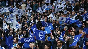 Fac Sf Prints: Brighton and Hove Albion Fans Euphoria at FA Cup Semi-Final vs Manchester City