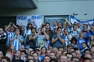 Images Dated 18th October 2014: Brighton & Hove Albion Fans in Full Force: Brighton v Middlesbrough, October 2014