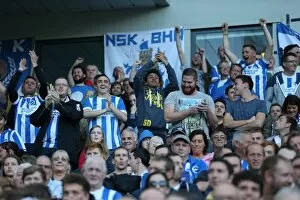 Images Dated 18th October 2014: Brighton and Hove Albion Fans in Full Force: A Sea of Colors Against Middlesbrough (18OCT14)