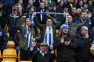 Images Dated 22nd November 2014: Brighton and Hove Albion Fans in Full Force: Sky Bet Championship Showdown at Norwich City