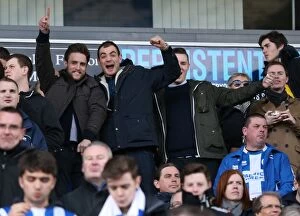 Images Dated 21st March 2015: Brighton and Hove Albion Fans in Full Force: Sky Bet Championship Match vs