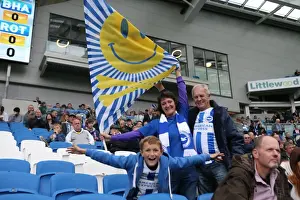 Brighton & Hove Albion Fans in Full Force at American Express Community Stadium during SkyBet Championship Match vs. Rotherham United (October 2014)