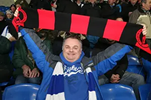 Cardiff City Prints: Brighton and Hove Albion Fans in Full Force: Cardiff City Stadium Showdown