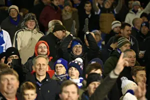 Fulham 29DEC14 Prints: Brighton and Hove Albion Fans in Full Force at Craven Cottage (29DEC14): A Sea of Seagulls at Fulham's Ground