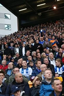 Images Dated 22nd November 2014: Brighton and Hove Albion Fans in Full Force at Norwich City Championship Match, 22nd November 2014