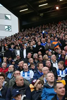 Brighton and Hove Albion Fans in Full Force at Norwich City Championship Match, 22nd November 2014