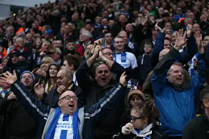 Brighton and Hove Albion Fans in Full Force at Norwich City's Carrow Road (Sky Bet Championship Match, 22 November 2014)