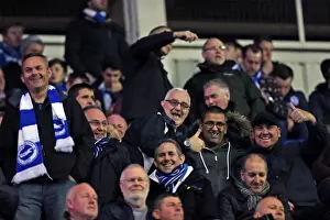 Brighton and Hove Albion Fans in Full Force at Reading's Madejski Stadium (10MAR15)