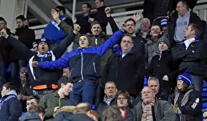 Brighton and Hove Albion Fans in Full Force at Reading's Madejski Stadium (10MAR15)