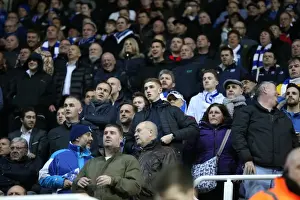Brighton and Hove Albion Fans in Full Force at Reading's Madejski Stadium (10MAR15)