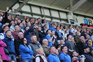 Brighton and Hove Albion Fans in Full Force: Rotherham United Match, April 2015