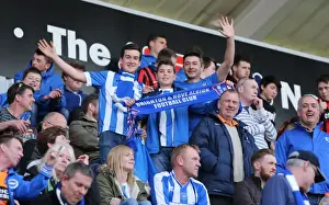 Brighton and Hove Albion Fans in Full Force at Rotherham United Match, April 2015