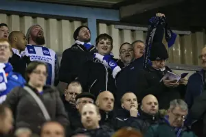 Brighton and Hove Albion Fans in Full Force: A Sea of Colors at the Millwall Championship Match (17MAR15)