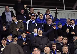 Reading 10MAR15 Prints: Brighton and Hove Albion Fans in Full Force: A Sea of Seagulls at Reading's Madejski Stadium (10MAR15)