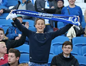 Brighton and Hove Albion Fans in Full Force: Sky Bet Championship Match vs AFC Bournemouth (10APR15)