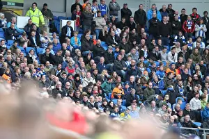 Brighton & Hove Albion Fans in Full Force: Sky Bet Championship Showdown vs. Wigan Athletic (8 November 2014)