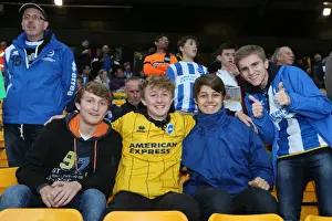 Brighton & Hove Albion Fans Intense Rivalry: Norwich City Showdown (22NOV14)