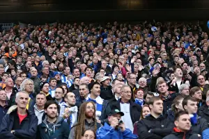 Brighton & Hove Albion Fans Intense Rivalry: Norwich City Showdown (22NOV14)