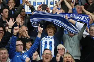 Brighton & Hove Albion Fans at Molineux Stadium: EFL Sky Bet Championship Match vs. Wolverhampton Wanderers (14th April 2017)