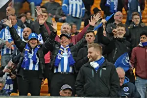 Brighton and Hove Albion Fans at Norwich City's Carrow Road Stadium, 21st April 2017 (EFL Sky Bet Championship)
