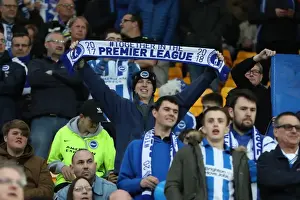 Brighton and Hove Albion Fans at Norwich City's Carrow Road Stadium, 21st April 2017 (EFL Sky Bet Championship)