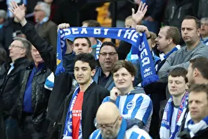 Brighton and Hove Albion Fans at Norwich City's Carrow Road Stadium, EFL Sky Bet Championship 2017