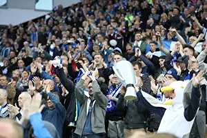 Brighton and Hove Albion Fans at Norwich City's Carrow Road Stadium, EFL Sky Bet Championship 2016-2017