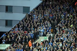 Brighton and Hove Albion Fans at Norwich City's Carrow Road Stadium, EFL Sky Bet Championship 2017