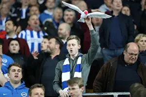 Brighton and Hove Albion Fans at Norwich City's Carrow Road Stadium, EFL Sky Bet Championship 2017