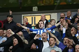 Wolves Prints: Brighton & Hove Albion Fans Passionate Display at Wolverhampton Wanderers Championship Clash (April 2017)