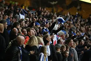 Wolves Prints: Brighton & Hove Albion Fans Passionate Moment at Wolverhampton Wanderers Championship Clash (14th April 2017)