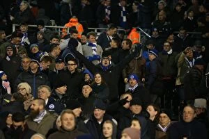 Images Dated 29th December 2014: Brighton and Hove Albion Fans Passionate Roar at Fulham Championship Match, December 2014
