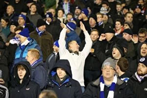 Images Dated 29th December 2014: Brighton and Hove Albion Fans Passionate Support at Fulham Championship Match, December 2014