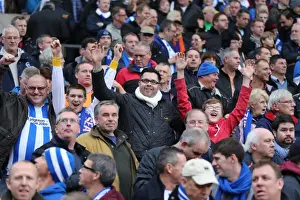 Norwich City 22NOV14 Prints: Brighton and Hove Albion Fans Passionate Support at Norwich City Championship Match