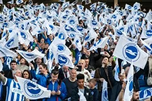 Images Dated 16th May 2016: Brighton and Hove Albion Fans in Play-Off Frenzy: Sky Bet Championship Clash vs