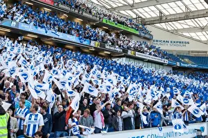 Sheffield Wednesday Play-off 2nd Leg 16MAY16 Prints: Brighton and Hove Albion Fans in Play-Off Frenzy: Sky Bet Championship Clash vs
